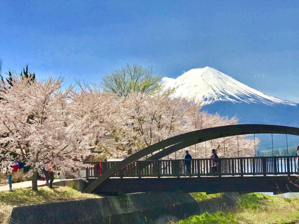 Mt Fuji Cat&Dog&Spa Pension Blue Poppy Fujikawaguchiko Eksteriør billede