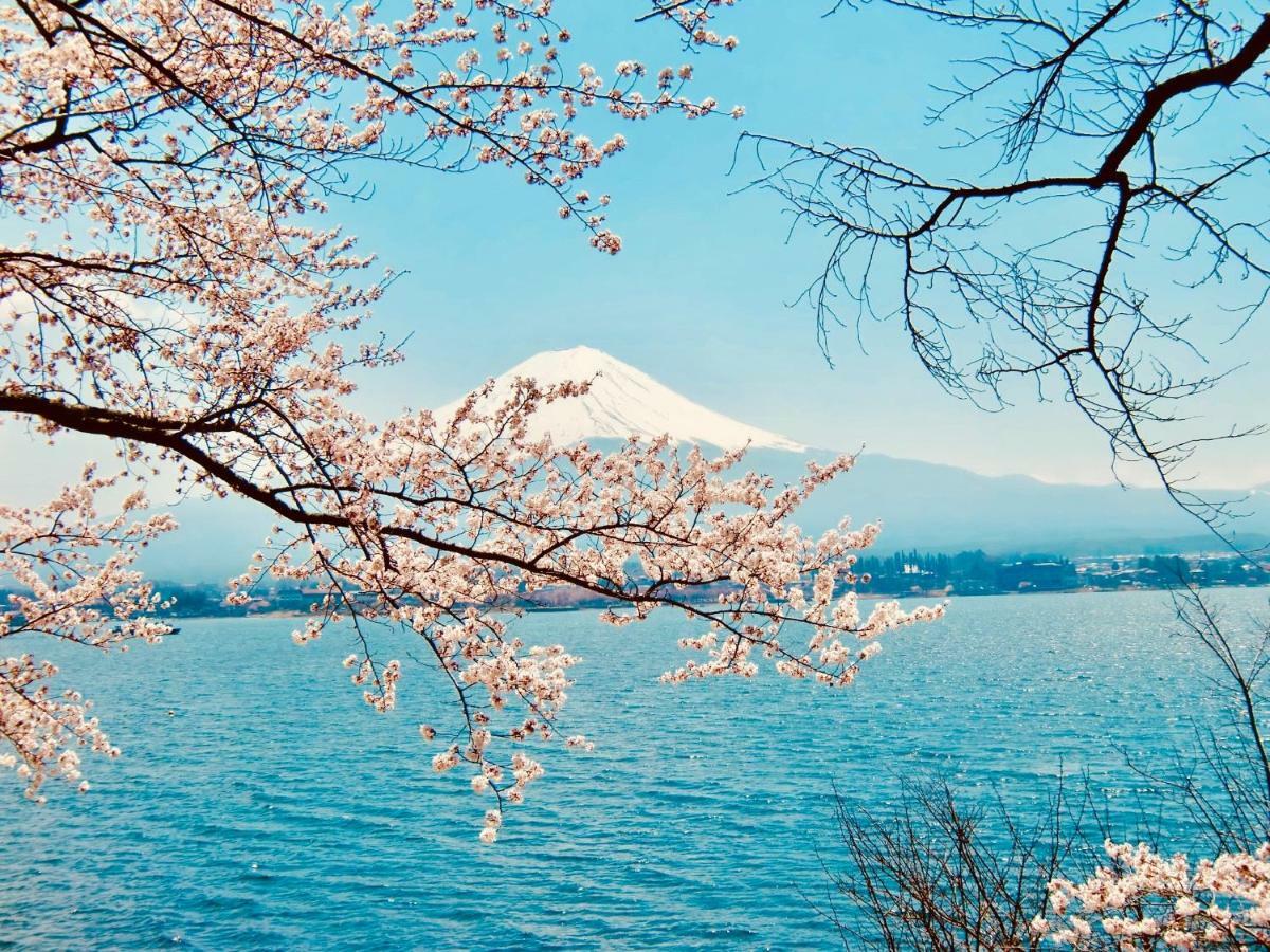 Mt Fuji Cat&Dog&Spa Pension Blue Poppy Fujikawaguchiko Eksteriør billede